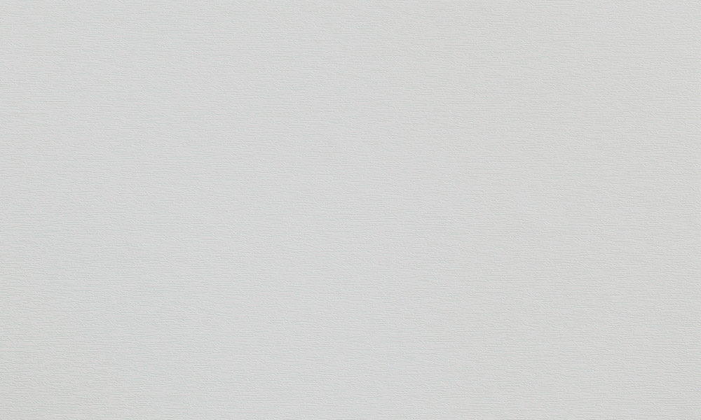 Lichtgrau (Ren. 725105 / RAL 7035)