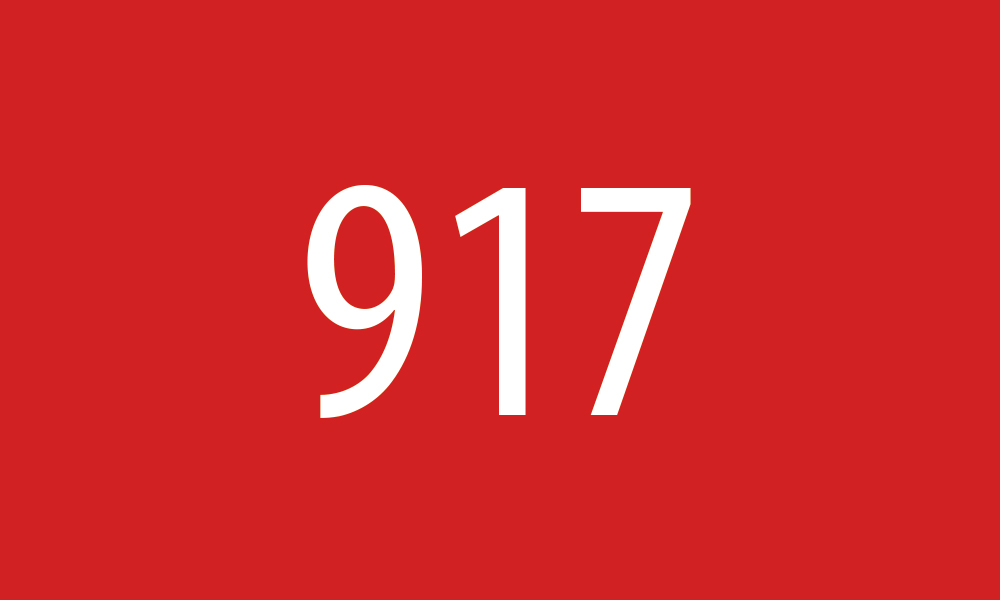 917 Rot