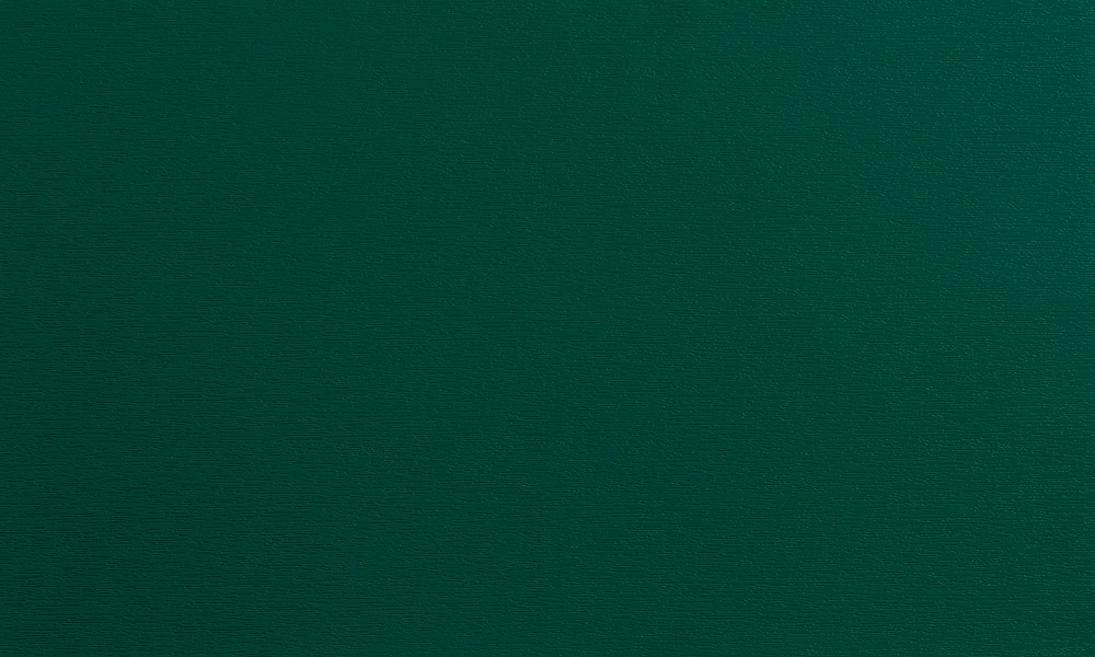 Hartwachs PLUS - 2er Pack (eine Farbe nach Wahl)