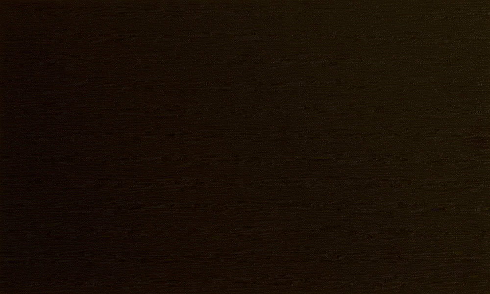 Schwarzbraun (Ren. 851805 / RAL 8022)